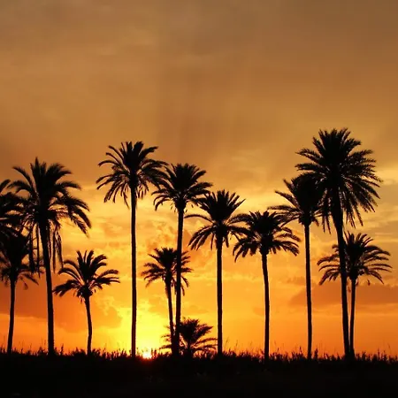 Naufragos * Torrevieja